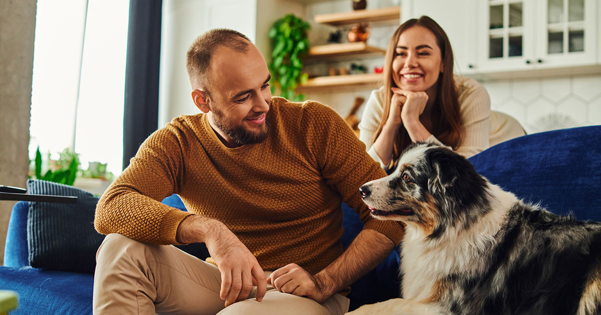 aflossingsvrije hypotheek